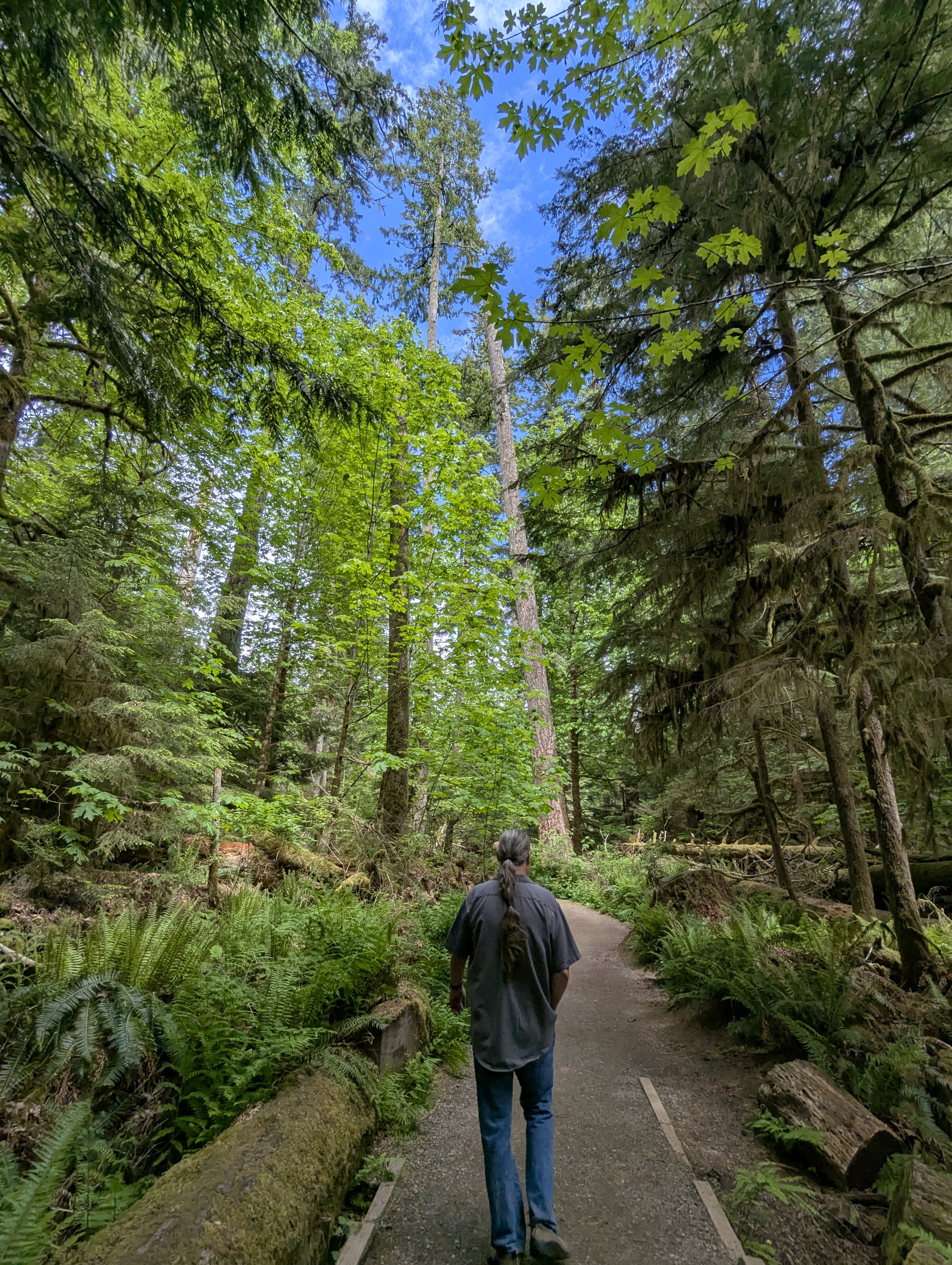 Birthday Trip to Canada, Cathedral Grove, Vancouver Island